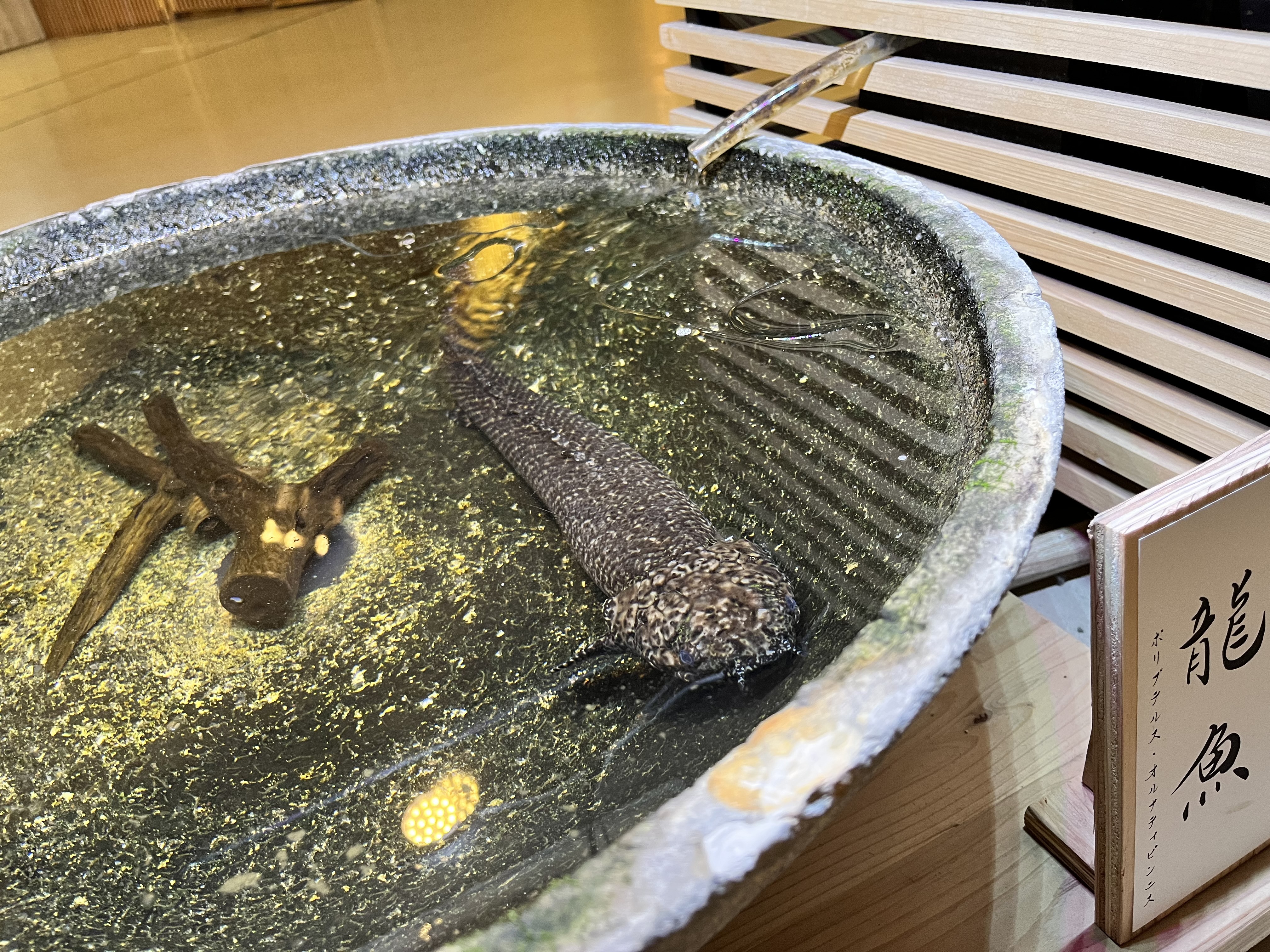お知らせ：宮島水族館 - みやじマリン